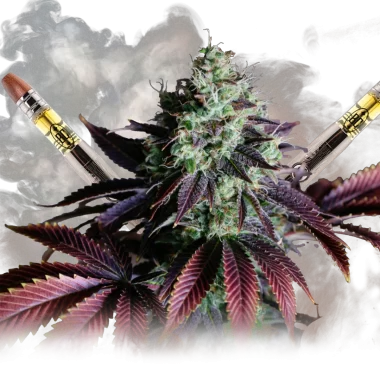 Do Vapes Have Calories? A Comprehensive Guide to Vape Pens and Their Impact